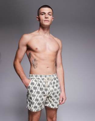 South Beach Palm Print Swimshort In Multi