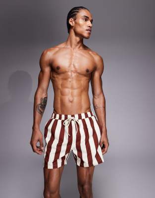 South Beach Striped Swim Shorts In Brown