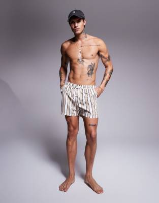 striped swim shorts in dark beige-Multi