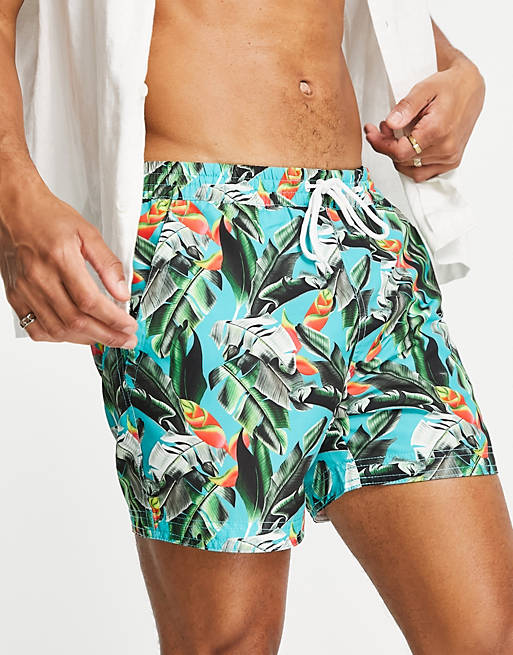 South Beach swim shorts in teal tropical print