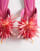 Thumbnail 2 of 4