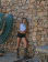 Thumbnail 4 van 4