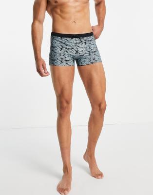 speedo aqua shorts