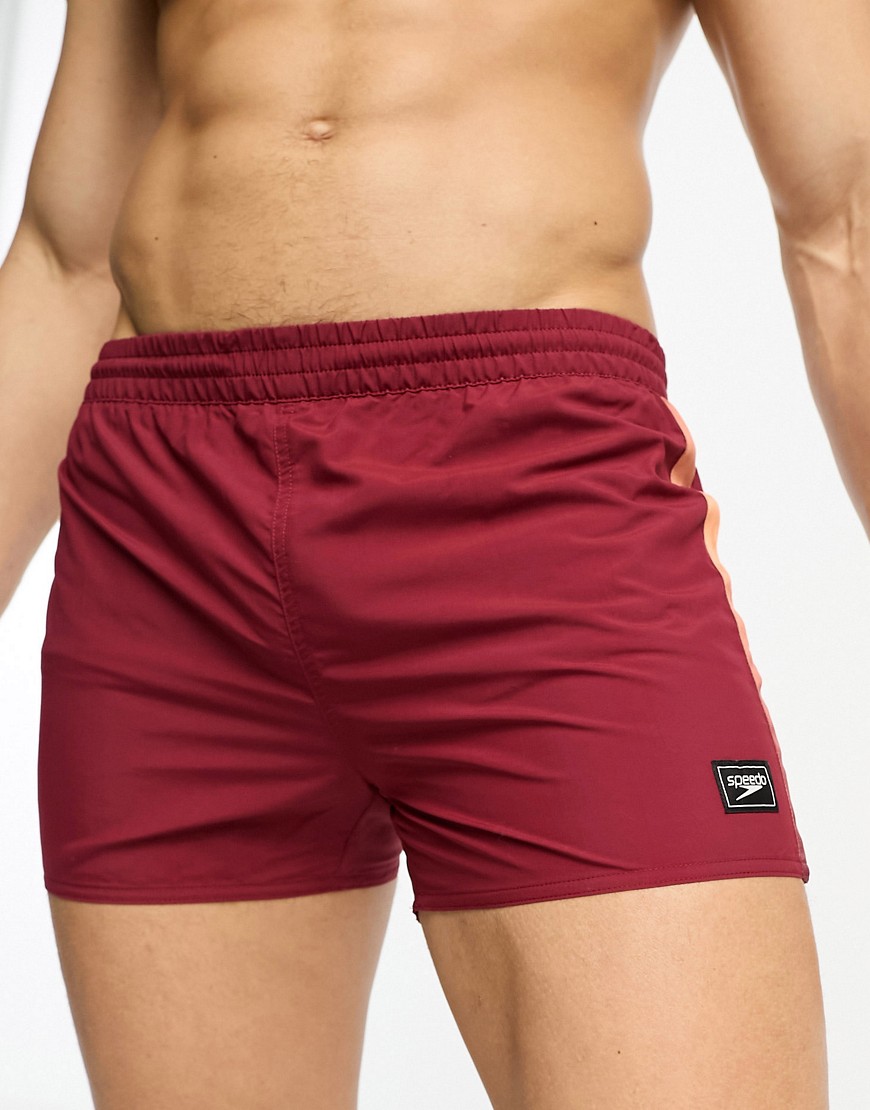 Speedo retro 13" swim shorts in burgundy-Red