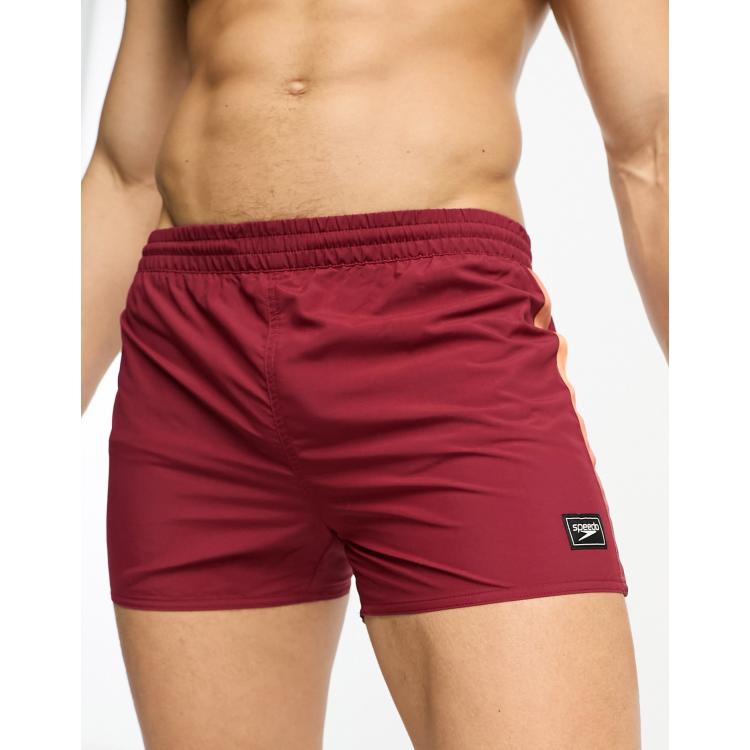 Speedo quick deals dry swim shorts