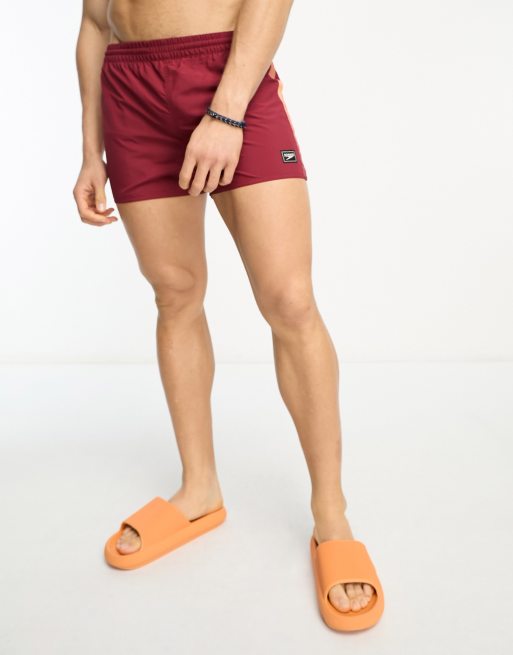 Regeringsverordening huiselijk herwinnen Speedo retro 13" swim shorts in burgundy | ASOS