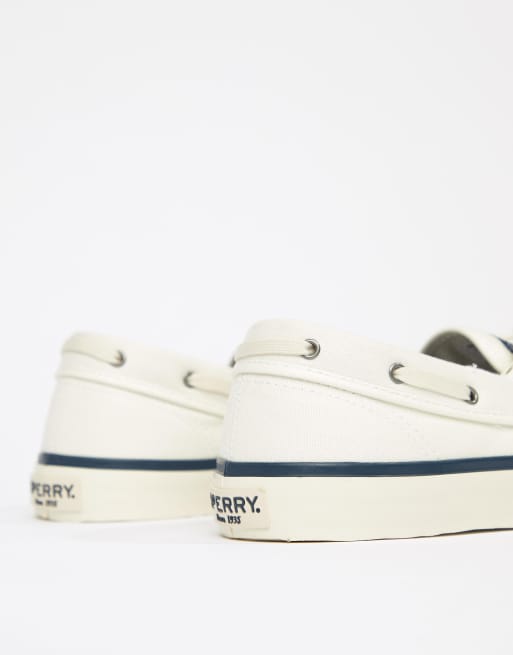 Sperry converse on sale