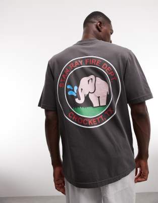 Stan Ray elephant graphic back print short sleeve T-shirt in washed black washed black