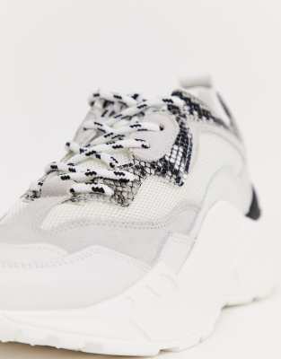 steve madden antonia white