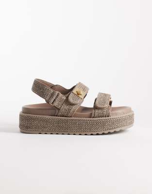 Steve Madden Bigmona Flatform Sandals In Brown