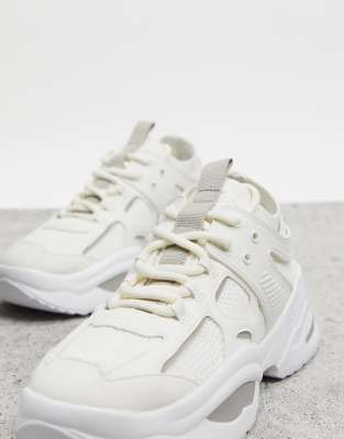 steve madden trainers white