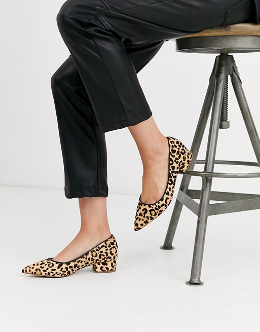 Steve Madden leather pointed heeled shoe in leopard