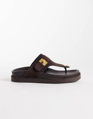 Steve Madden Tuned-in Thong Sandals With Buckle Strap In Brown