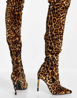 leopard print booties steve madden