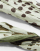 Thumbnail 2 von 3