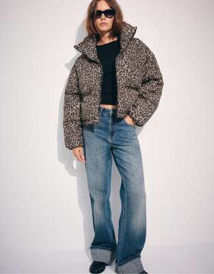 Winter 2