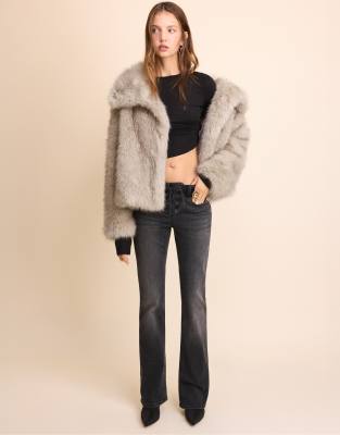 Wool 4