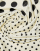 Thumbnail 3 of 3