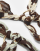 Thumbnail 3 van 3