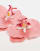 Thumbnail 2 van 3