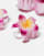 Thumbnail 3 van 3