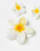 Thumbnail 2 van 3