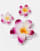 Thumbnail 2 van 3