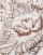 Thumbnail 2 van 3