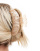 Thumbnail 4 van 4