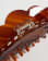 Thumbnail 3 of 3