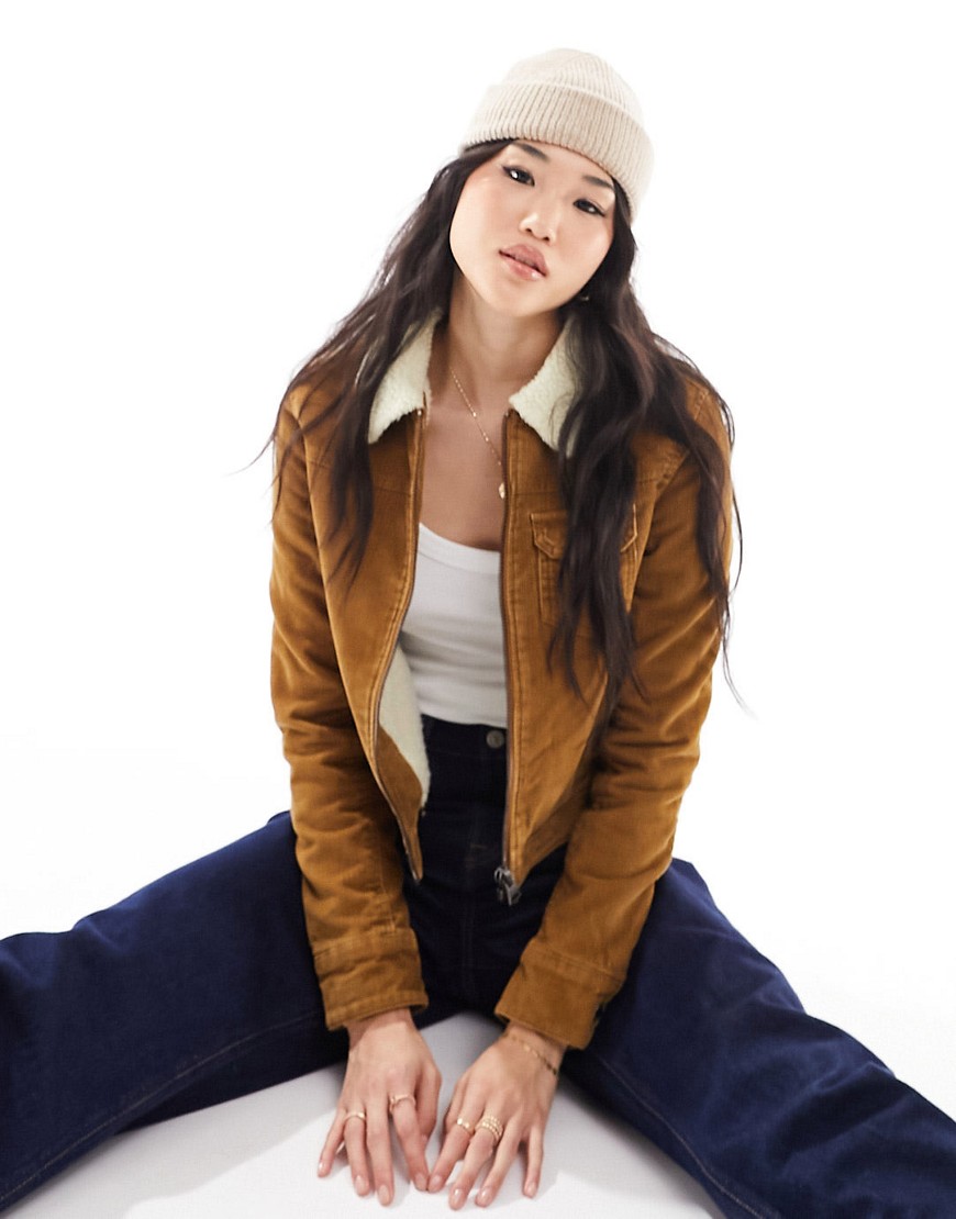 Superdry cord lined cropped jacket in Brown