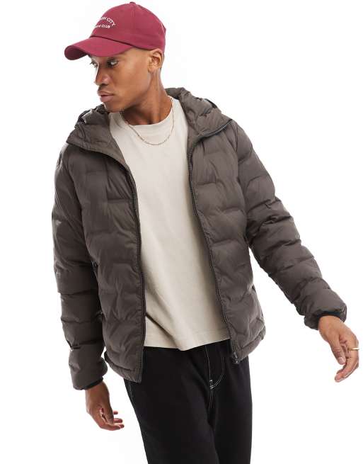 Superdry quilted hooded puffer jacket online