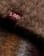 Thumbnail 5 of 5