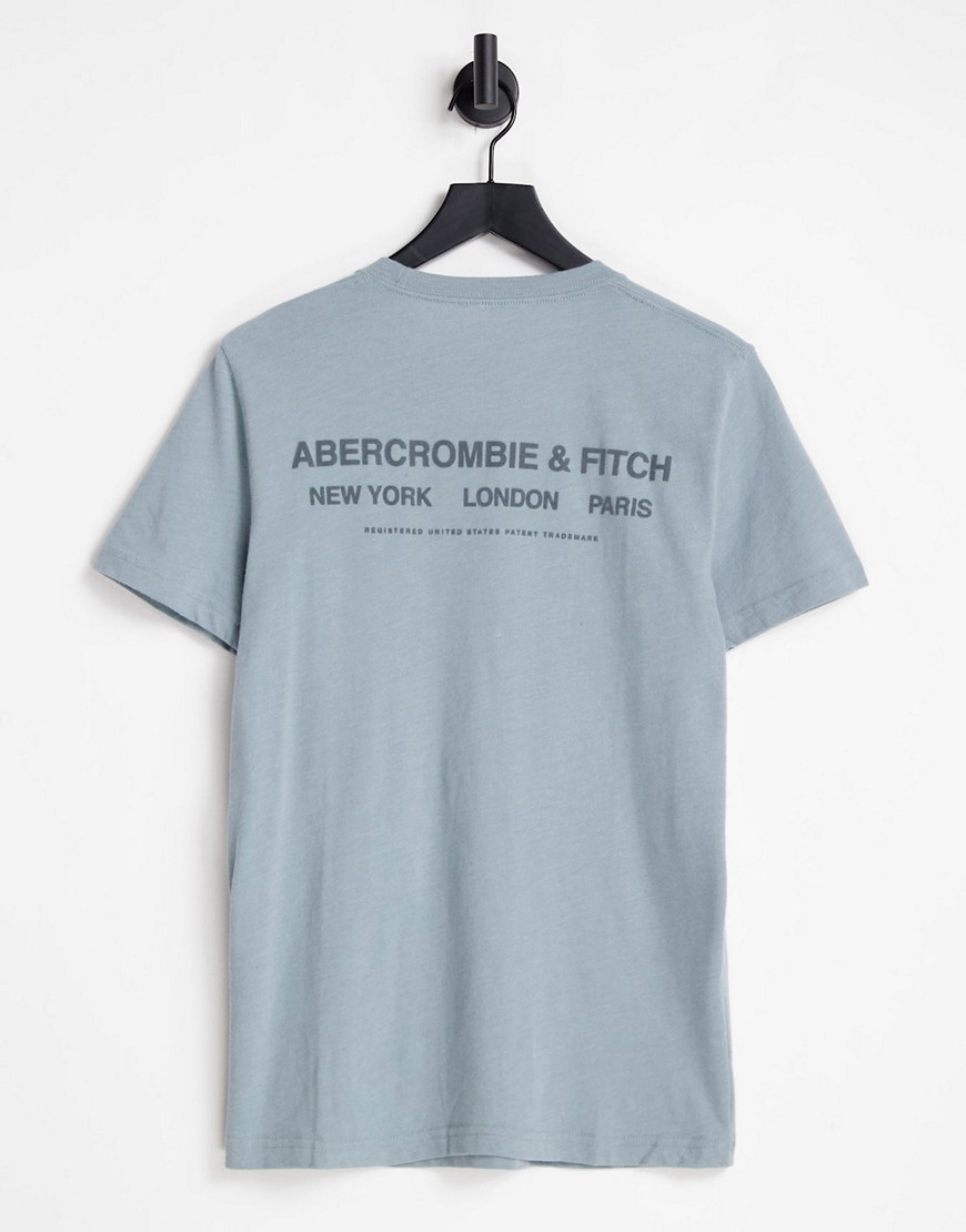 фото Светло-синяя футболка с принтом логотипа и названиями городов на спине abercrombie & fitch-голубой