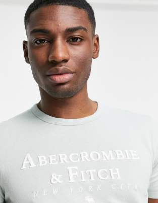 фото Светло-зеленая футболка с логотипом на груди abercrombie & fitch-зеленый цвет