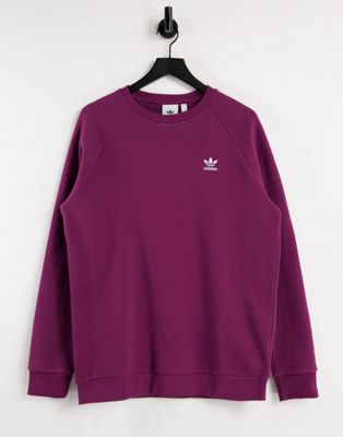 фото Свитшот сливового цвета adidas originals essentials-фиолетовый цвет