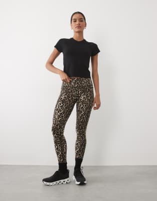 Snow Leopard 4