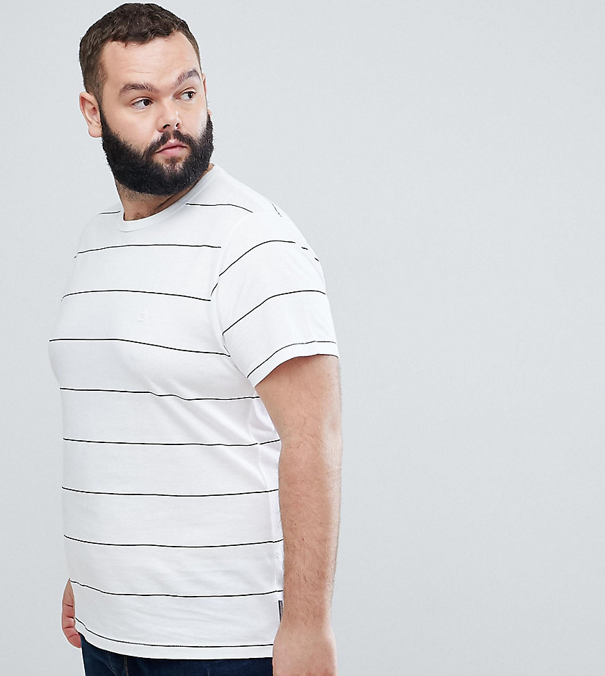 T.-shirt med tynde striber fra French Connection PLUS-Hvid