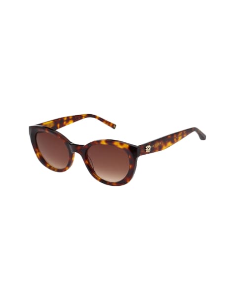 Ted Baker Daliah sunglasses in brown - view 1