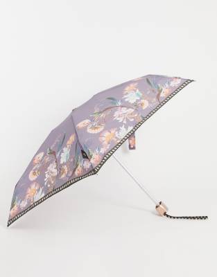 Ted Baker Umbrella In Decadence purple ModeSens