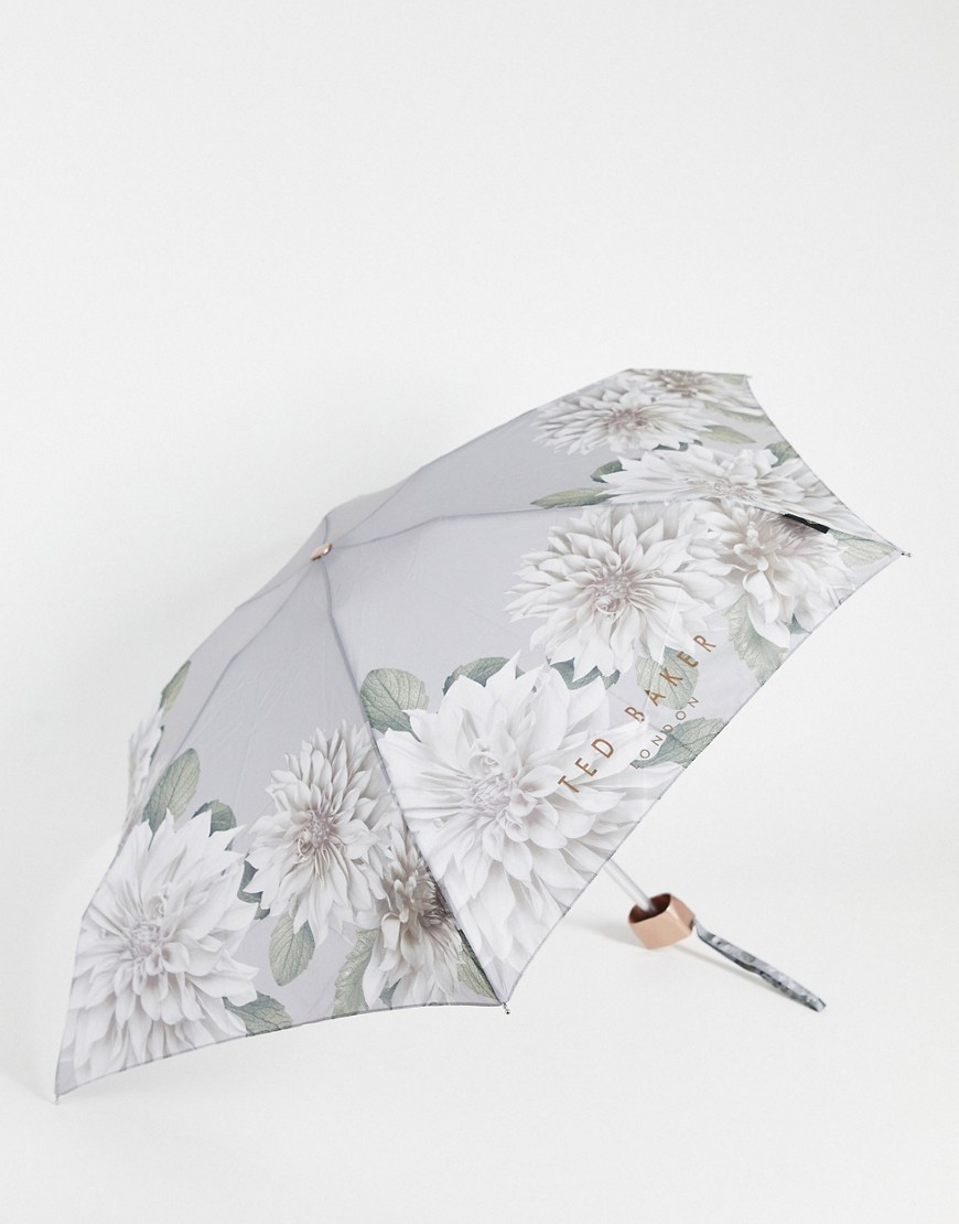 Ted Baker umbrella in gray border clove-Grey