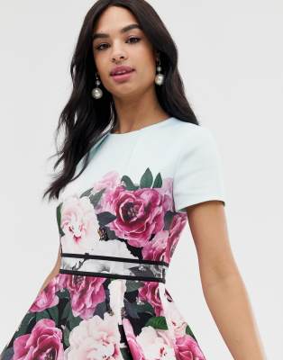 ted baker magnificent skater dress