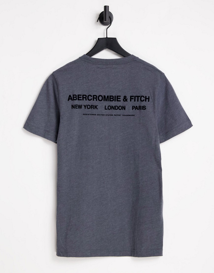 фото Темно-серая футболка с принтом логотипа и названий городов на спине abercrombie & fitch-серый