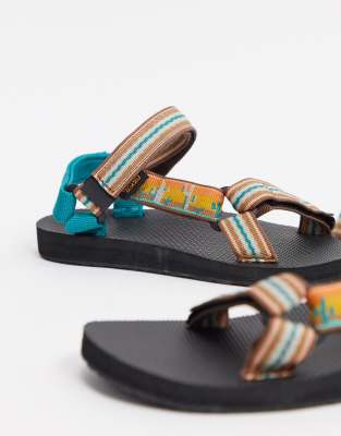 sunflower tevas