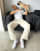 Thumbnail 4 of 4