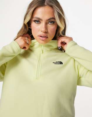 cropped north face fleece