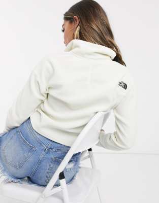 the north face zip in fleece