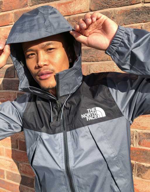 Veste THE NORTH FACE Mountain Q Black