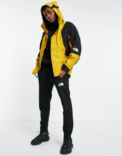 The north face store 1994 mountain jacket