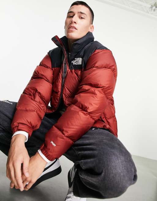 The north face burgundy sale